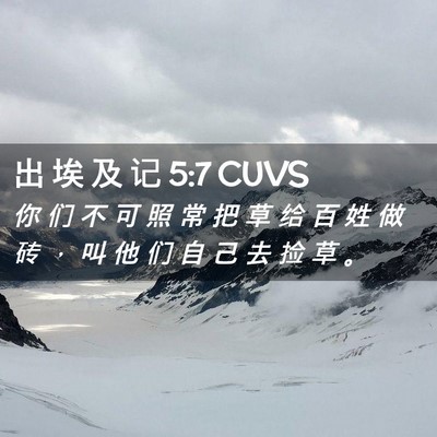 Picture 02 - 出 埃 及 记 5:7 CUVS - 你 们 不 可 照 常 把 草 给 百 姓 做 - Bible Verse Picture