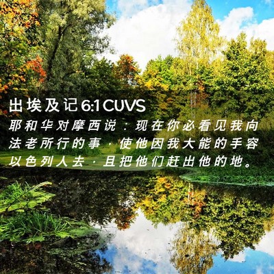 Picture 02 - 出 埃 及 记 6:1 CUVS - 耶 和 华 对 摩 西 说 ： 现 在 你 必 - Bible Verse Picture