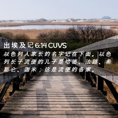 Picture 02 - 出 埃 及 记 6:14 CUVS - 以 色 列 人 家 长 的 名 字 记 在 下 - Bible Verse Picture