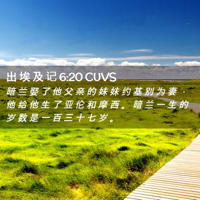 Picture 02 - 出 埃 及 记 6:20 CUVS - 暗 兰 娶 了 他 父 亲 的 妹 妹 约 基 - Bible Verse Picture