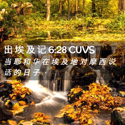 Picture 02 - 出 埃 及 记 6:28 CUVS - 当 耶 和 华 在 埃 及 地 对 摩 西 说 - Bible Verse Picture