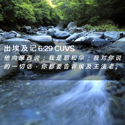 Picture 02 - 出 埃 及 记 6:29 CUVS - 他 向 摩 西 说 ： 我 是 耶 和 华 ； - Bible Verse Picture