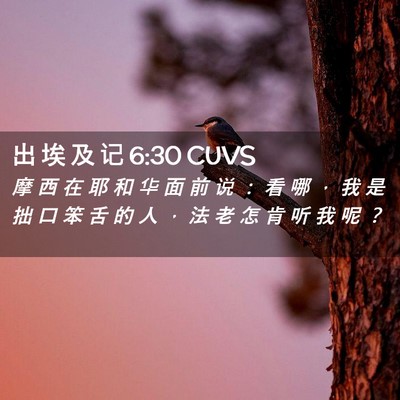 Picture 02 - 出 埃 及 记 6:30 CUVS - 摩 西 在 耶 和 华 面 前 说 ： 看 哪 - Bible Verse Picture