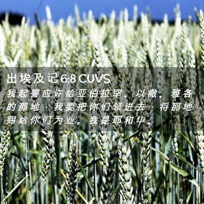 Picture 02 - 出 埃 及 记 6:8 CUVS - 我 起 誓 应 许 给 亚 伯 拉 罕 、 以 - Bible Verse Picture