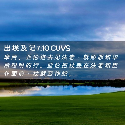 Picture 02 - 出 埃 及 记 7:10 CUVS - 摩 西 、 亚 伦 进 去 见 法 老 ， 就 - Bible Verse Picture