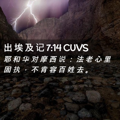 Picture 02 - 出 埃 及 记 7:14 CUVS - 耶 和 华 对 摩 西 说 ： 法 老 心 里 - Bible Verse Picture