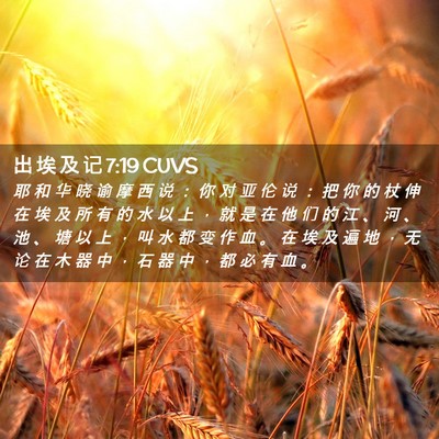 Picture 02 - 出 埃 及 记 7:19 CUVS - 耶 和 华 晓 谕 摩 西 说 ： 你 对 亚 - Bible Verse Picture