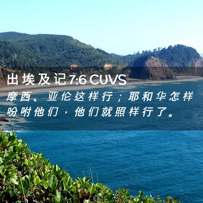 Picture 02 - 出 埃 及 记 7:6 CUVS - 摩 西 、 亚 伦 这 样 行 ； 耶 和 华 - Bible Verse Picture