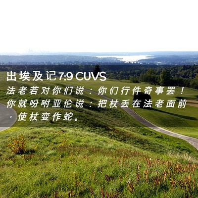 Picture 02 - 出 埃 及 记 7:9 CUVS - 法 老 若 对 你 们 说 ： 你 们 行 件 - Bible Verse Picture