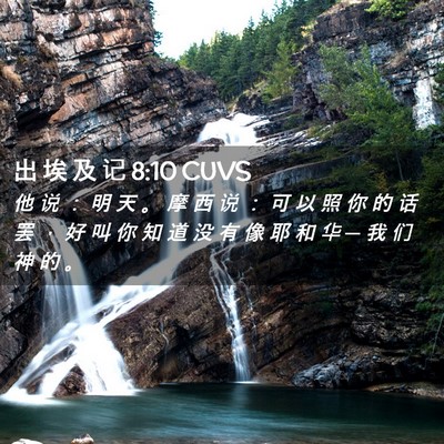 Picture 02 - 出 埃 及 记 8:10 CUVS - 他 说 ： 明 天 。 摩 西 说 ： 可 以 - Bible Verse Picture