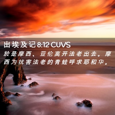 Picture 02 - 出 埃 及 记 8:12 CUVS - 於 是 摩 西 、 亚 伦 离 开 法 老 出 - Bible Verse Picture