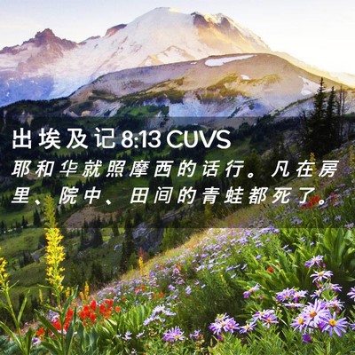 Picture 02 - 出 埃 及 记 8:13 CUVS - 耶 和 华 就 照 摩 西 的 话 行 。 凡 - Bible Verse Picture