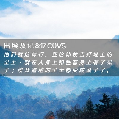 Picture 02 - 出 埃 及 记 8:17 CUVS - 他 们 就 这 样 行 。 亚 伦 伸 杖 击 - Bible Verse Picture