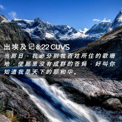 Picture 02 - 出 埃 及 记 8:22 CUVS - 当 那 日 ， 我 必 分 别 我 百 姓 所 - Bible Verse Picture