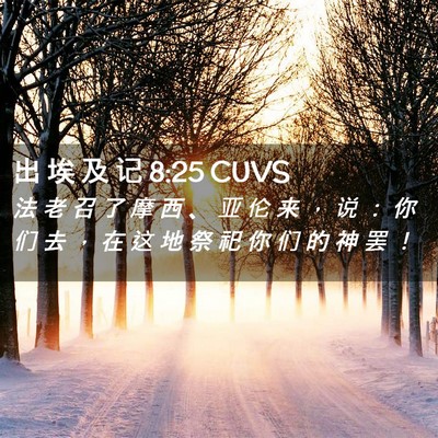 Picture 02 - 出 埃 及 记 8:25 CUVS - 法 老 召 了 摩 西 、 亚 伦 来 ， 说 - Bible Verse Picture