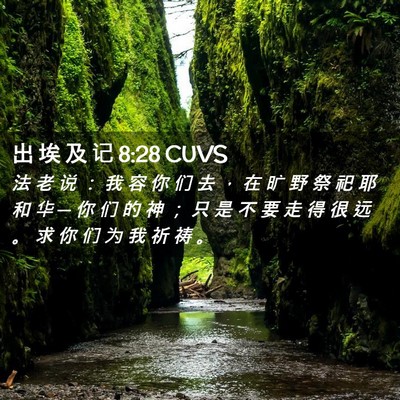 Picture 02 - 出 埃 及 记 8:28 CUVS - 法 老 说 ： 我 容 你 们 去 ， 在 旷 - Bible Verse Picture