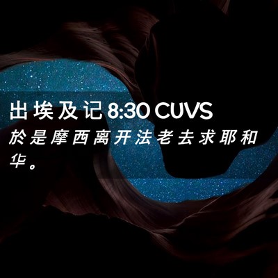 Picture 02 - 出 埃 及 记 8:30 CUVS - 於 是 摩 西 离 开 法 老 去 求 耶 和 - Bible Verse Picture