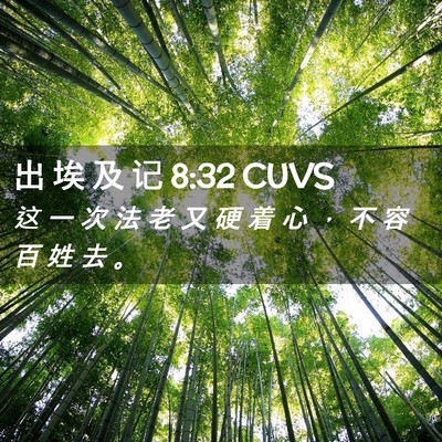 Picture 02 - 出 埃 及 记 8:32 CUVS - 这 一 次 法 老 又 硬 着 心 ， 不 容 - Bible Verse Picture