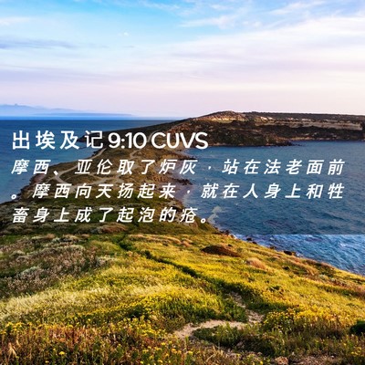 Picture 02 - 出 埃 及 记 9:10 CUVS - 摩 西 、 亚 伦 取 了 炉 灰 ， 站 在 - Bible Verse Picture