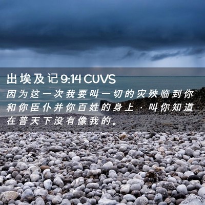 Picture 02 - 出 埃 及 记 9:14 CUVS - 因 为 这 一 次 我 要 叫 一 切 的 灾 - Bible Verse Picture
