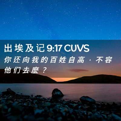 Picture 02 - 出 埃 及 记 9:17 CUVS - 你 还 向 我 的 百 姓 自 高 ， 不 容 - Bible Verse Picture
