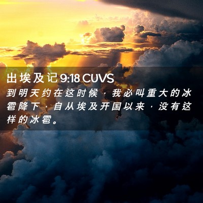 Picture 02 - 出 埃 及 记 9:18 CUVS - 到 明 天 约 在 这 时 候 ， 我 必 叫 - Bible Verse Picture