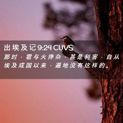 Picture 02 - 出 埃 及 记 9:24 CUVS - 那 时 ， 雹 与 火 搀 杂 ， 甚 是 利 - Bible Verse Picture