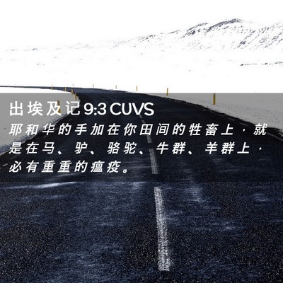 Picture 02 - 出 埃 及 记 9:3 CUVS - 耶 和 华 的 手 加 在 你 田 间 的 牲 - Bible Verse Picture