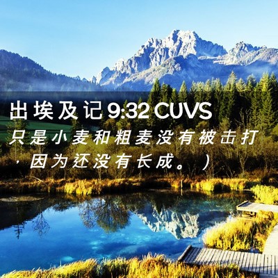 Picture 02 - 出 埃 及 记 9:32 CUVS - 只 是 小 麦 和 粗 麦 没 有 被 击 打 - Bible Verse Picture