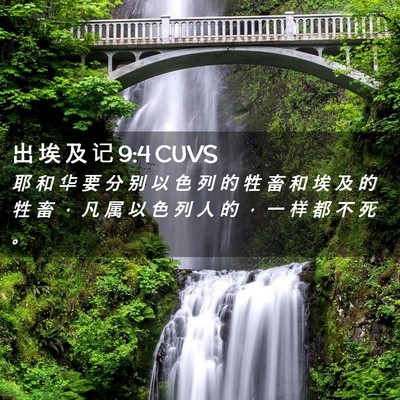 Picture 02 - 出 埃 及 记 9:4 CUVS - 耶 和 华 要 分 别 以 色 列 的 牲 畜 - Bible Verse Picture