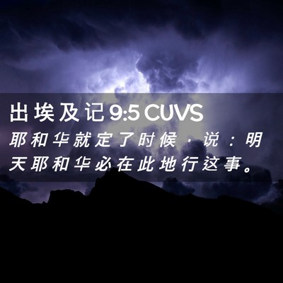 Picture 02 - 出 埃 及 记 9:5 CUVS - 耶 和 华 就 定 了 时 候 ， 说 ： 明 - Bible Verse Picture