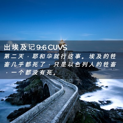 Picture 02 - 出 埃 及 记 9:6 CUVS - 第 二 天 ， 耶 和 华 就 行 这 事 。 - Bible Verse Picture
