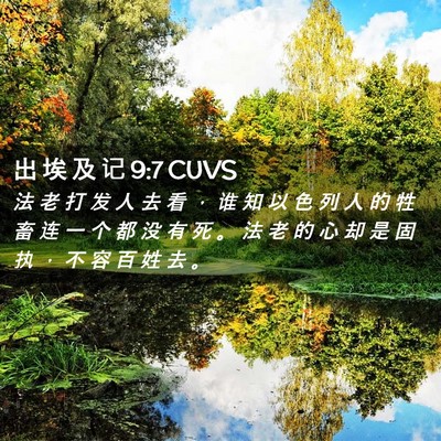 Picture 02 - 出 埃 及 记 9:7 CUVS - 法 老 打 发 人 去 看 ， 谁 知 以 色 - Bible Verse Picture