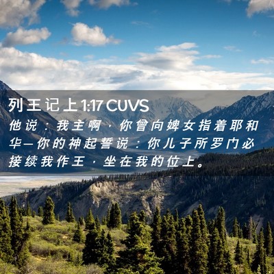 Picture 02 - 列 王 记 上 1:17 CUVS - 他 说 ： 我 主 啊 ， 你 曾 向 婢 女 - Bible Verse Picture