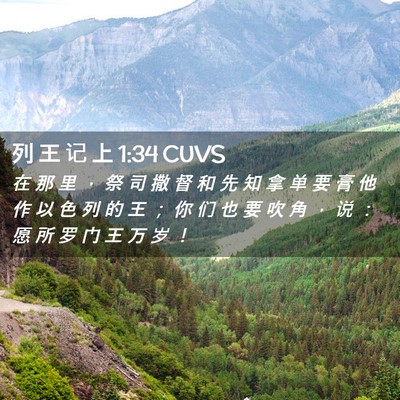 Picture 02 - 列 王 记 上 1:34 CUVS - 在 那 里 ， 祭 司 撒 督 和 先 知 拿 - Bible Verse Picture