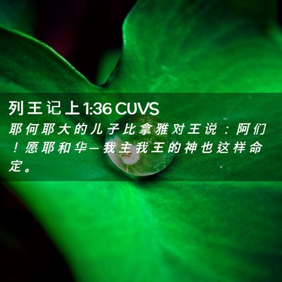 Picture 02 - 列 王 记 上 1:36 CUVS - 耶 何 耶 大 的 儿 子 比 拿 雅 对 王 - Bible Verse Picture