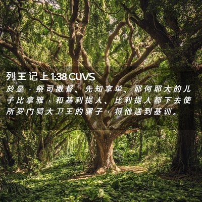 Picture 02 - 列 王 记 上 1:38 CUVS - 於 是 ， 祭 司 撒 督 、 先 知 拿 单 - Bible Verse Picture