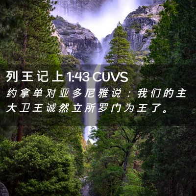 Picture 02 - 列 王 记 上 1:43 CUVS - 约 拿 单 对 亚 多 尼 雅 说 ： 我 们 - Bible Verse Picture