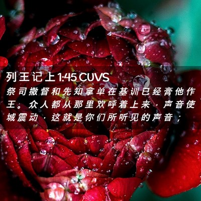 Picture 02 - 列 王 记 上 1:45 CUVS - 祭 司 撒 督 和 先 知 拿 单 在 基 训 - Bible Verse Picture