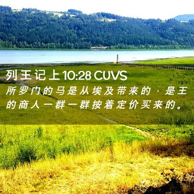 Picture 02 - 列 王 记 上 10:28 CUVS - 所 罗 门 的 马 是 从 埃 及 带 来 的 - Bible Verse Picture