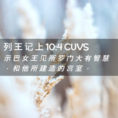 Picture 02 - 列 王 记 上 10:4 CUVS - 示 巴 女 王 见 所 罗 门 大 有 智 慧 - Bible Verse Picture