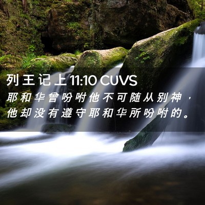 Picture 02 - 列 王 记 上 11:10 CUVS - 耶 和 华 曾 吩 咐 他 不 可 随 从 别 - Bible Verse Picture