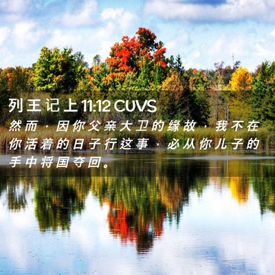 Picture 02 - 列 王 记 上 11:12 CUVS - 然 而 ， 因 你 父 亲 大 卫 的 缘 故 - Bible Verse Picture