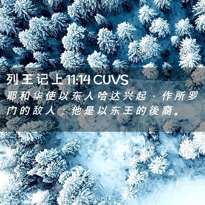 Picture 02 - 列 王 记 上 11:14 CUVS - 耶 和 华 使 以 东 人 哈 达 兴 起 ， - Bible Verse Picture