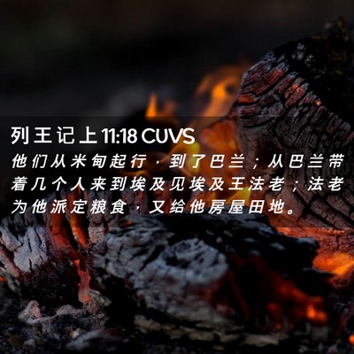 Picture 02 - 列 王 记 上 11:18 CUVS - 他 们 从 米 甸 起 行 ， 到 了 巴 兰 - Bible Verse Picture