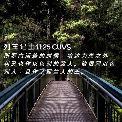 Picture 02 - 列 王 记 上 11:25 CUVS - 所 罗 门 活 着 的 时 候 ， 哈 达 为 - Bible Verse Picture