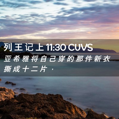 Picture 02 - 列 王 记 上 11:30 CUVS - 亚 希 雅 将 自 己 穿 的 那 件 新 衣 - Bible Verse Picture
