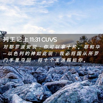 Picture 02 - 列 王 记 上 11:31 CUVS - 对 耶 罗 波 安 说 ： 你 可 以 拿 十 - Bible Verse Picture