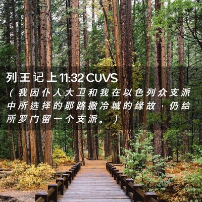 Picture 02 - 列 王 记 上 11:32 CUVS - （ 我 因 仆 人 大 卫 和 我 在 以 色 - Bible Verse Picture
