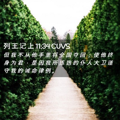 Picture 02 - 列 王 记 上 11:34 CUVS - 但 我 不 从 他 手 里 将 全 国 夺 回 - Bible Verse Picture